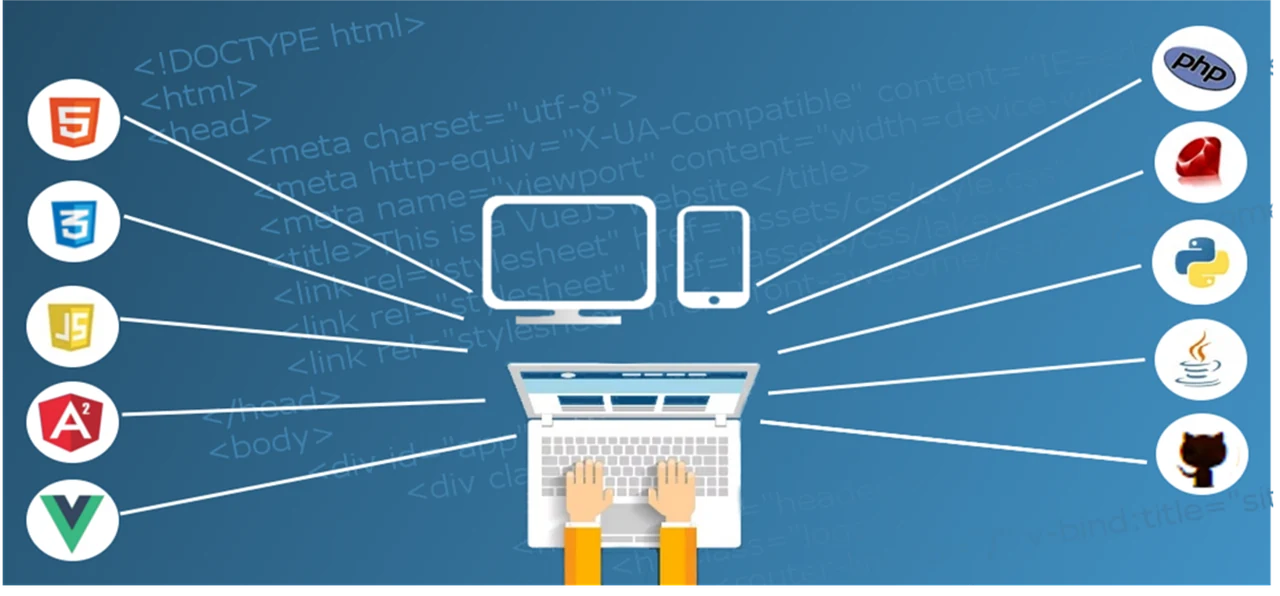 Elevate Your Online Presence with Custom Web Solutions from TurtlTech thumbnail — TurtlTech blog